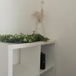 Cogghe Maison Cosy 5 3 Sdb 3 Toilettes Dom wakacyjny